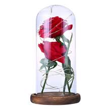 -La bella y la bestia Rosa roja en una c&uacute;pula de vidrio sobre una base de madera L&aacute;mpara rosa para regalos de San Valent&iacute;n 2 rosas on JD