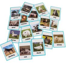 educational-toys-18 pc-Farm Animals Flash Cards - Tarjeta de aprendizaje de palabras en ingl&eacute;s y tarjeta de bolsillo para ni&ntilde;os en edad preescolar - Tarjetas de vocabulario en ingl&eacute;s on JD